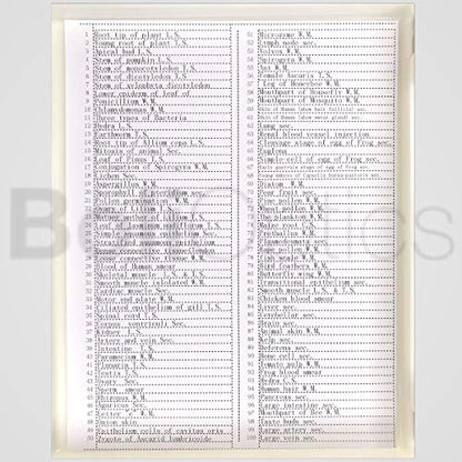 BoliOptics 100 Prepared Microscope Slides General Biology Specimen Set Plant Animal Human Anatomy Cells for Students Hobbyists Beginners Kids Homeschool, SL39901008