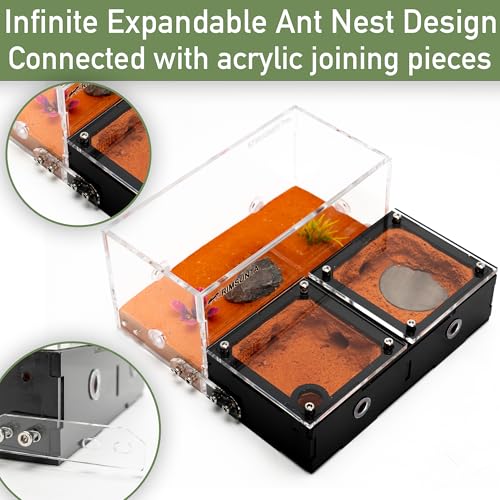 Terra Core Expandable Dual Chamber Formicarium Ant Nest with Starter Kit - size: Terra Core Series-Expandable Dual Chamber