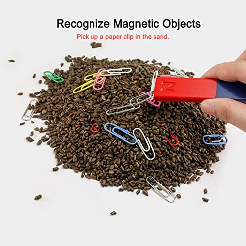 Kids Magnet Physics Science Kit, STEM Educational Learning Set Includes Bar & Horseshoe Magnets, Magnetic Powder for School Teachers & Homeschool Students