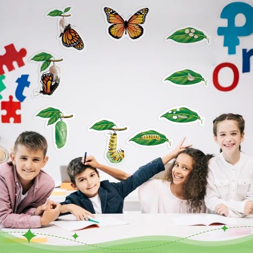 Relaxweex 9 Pcs Magnetic Butterfly Life Cycle Toys for Kid Caterpillar to Monarch Butterfly Growth Cycle Toy Insect Figures for Kids Education Preschool Classroom Insect Themed Teaching Tools Supplies