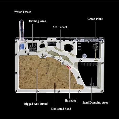 ELNMLHT Ant Farm Castle, Ant Farms with Yellow Sand and Tool Kit, Ant Colony Observation Kit, Ant Viewing Habitat Science Kit, Educational & Learning Science Kit for Kids, Adults, Student - color: Ant Farm a