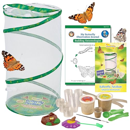 Insect Lore Butterfly Pavilion School Kit with 33 Live Caterpillars - 2ft Tall Habitat, STEM Activity Journal, Cups & Tools Included - Immersive Classroom Life Cycle Learning - style: School Kit 33
