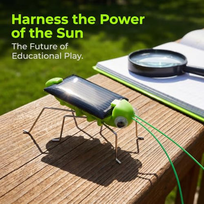 6PCS Solar Powered Bugs Toys Lifelike Solar Crickets Grasshopper Insect Toys for Boys Girls Fake Roaches Moving Simulation School Science Educational