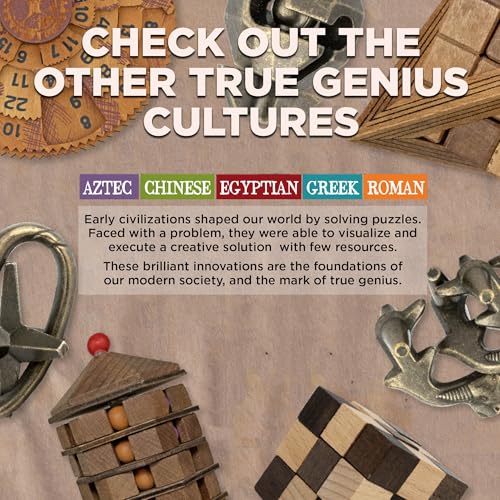 Project Genius True Genius CURATED Collection – Variety Pack, Assembly Puzzle, Disassembly Puzzle, Brain teasers, Adult Puzzle, Wooden and Metal Brain Teasers