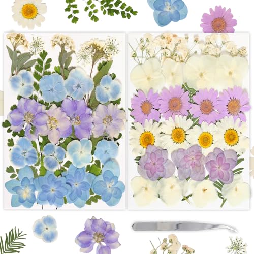 Dried Pressed Flowers Real Pressed Flowers Natural Dry Leaves Bulk Mixed Colorful Herbs Kit with Tweezers for Scrapbooking DIY Candle Jewelry Crafts Making Nails (White, Purple, Blue) - color: White, Purple, Blue