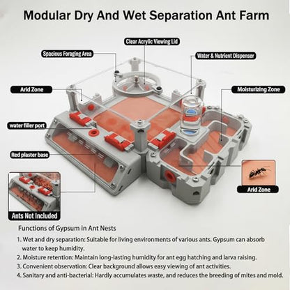 Antsir Ant Farm Nest Kit,DIY Science Terrarium with Acrylic Water Tower, Nurturing Room & Large Observation Area for Live Ants (Formicarium Grey) - color: Grey