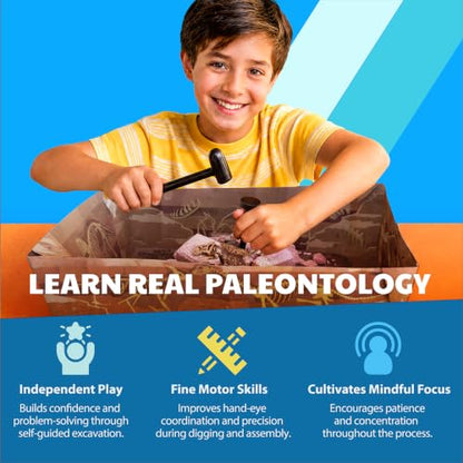4M Tyrannosaurus Rex Skeleton Kit for Kids Ages 8-12 – T-Rex Fossil Excavation Set with 12 Realistic Bones, STEM Paleontologist Digging Kit with Hammer, Chisel & Brush, Educational Gift