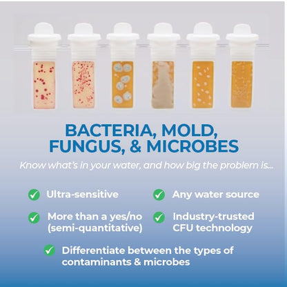 Drinking Water Test Kit, Detekt (USA) DIY for Lead, Bacteria, Mold & pH - size: 1 Water Sample