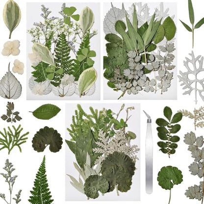 63 Pcs Pressed Leaves, 21 Styles Dried Flowers for Resin - size: 63 pcs White Leaf