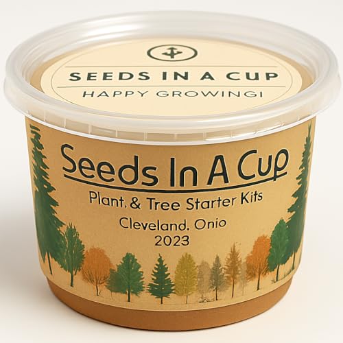 Seeds In A Cup® Macadamia Tree Grow Kit – Easy Indoor/Outdoor Seed Starter | Grow Your Own Nut Tree | Made in USA | Great Gift for Gardeners & Kids