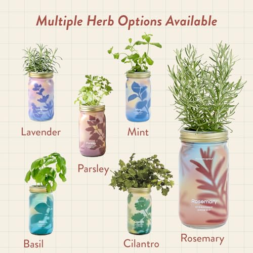 Modern Sprout Mason Garden Jar - Self-Watering Hydroponics Kit - Rosemary - color: Rosemary, size: Garden Jars