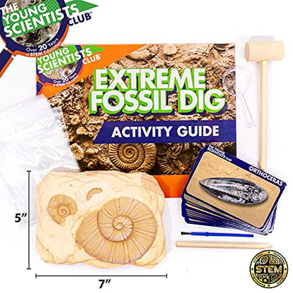The Young Scientists Club Exploring Fossils, at-Home STEM Kits for Kids Age 8 and Up, Fossil Kits for Young Scientists, Dinosaur Experiments, Kids Dinosaur Parties