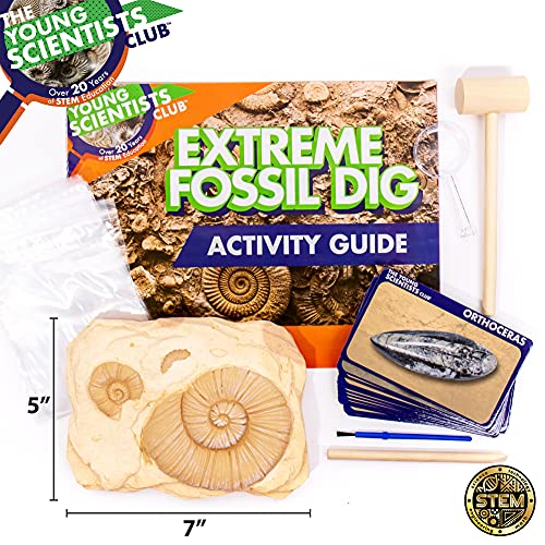 The Young Scientists Club Exploring Fossils, at-Home STEM Kits for Kids Age 8 and Up, Fossil Kits for Young Scientists, Dinosaur Experiments, Kids Dinosaur Parties