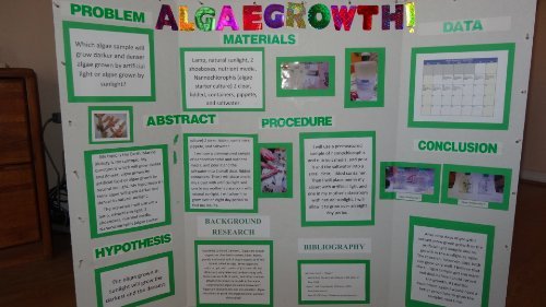 Algae Research Supply Algae Culture-Nannochloropsis, Perfect for School Science Fairs/Projects, Experiments & Classrooms