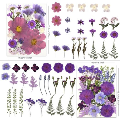 LUXEEASE 100P Purple Dried Pressed Flowers - color: Purple Medley 100p