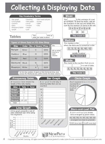 NewPath Learning Grade 5 Math Anchor Charts Set of 10 (12x18") & 25-Page Resource Guide Covering Advanced Fractions, Algebra & Geometry for Classroom & Homeschool Use (93-9950)