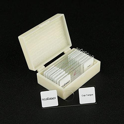 Prepared Bacteria and Fungi Microscope Slide Set, 9pcs Slides for Biology Teacher Students Micro Organisms Science Education - color: Bacteria & Fungi
