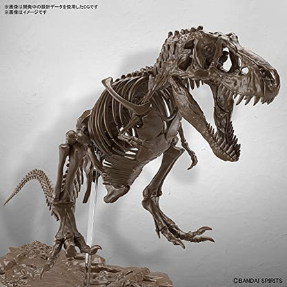 Bandai Hobby - Imaginary Skeleton - 1/32 Imaginary Skeleton Tyrannosaurus, Small