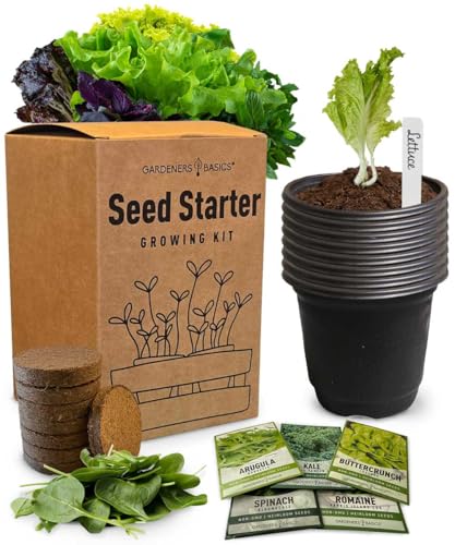 Beginner Indoor Garden Lettuce Kit - Includes Romaine, Buttercrunch Lettuces, Spinach, Arugula, and Kale Heirloom Seeds, Pots, Soils and Plant Markers - Complete Indoor Vegetable Garden Starter Kit