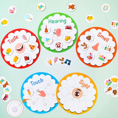 5 Senses Learning Activity for Kids Educational Teacher Supplies Five Senses Sorting Cards Learning Game Develop Fine Motor Skills for Toddlers Preschoolers and Kindergarteners Homeschool Must Haves