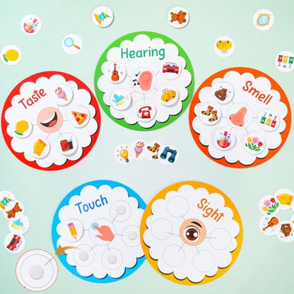 5 Senses Learning Activity for Kids Educational Teacher Supplies Five Senses Sorting Cards Learning Game Develop Fine Motor Skills for Toddlers Preschoolers and Kindergarteners Homeschool Must Haves