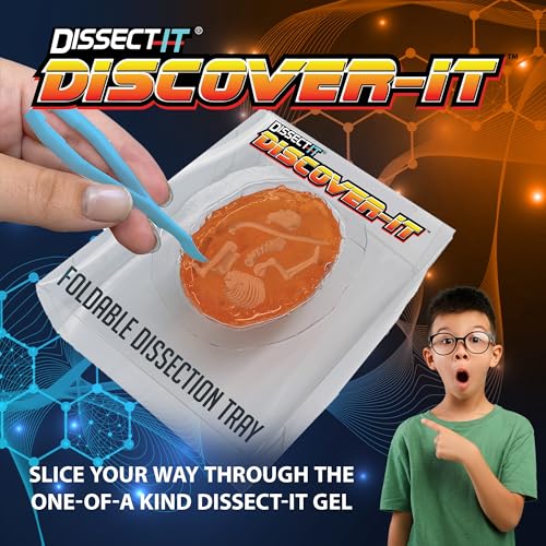 Discover-It Owl Pellet, Science Lab Kit, STEM Toys for Kids, Ages 5+ - style: Owl Pellet