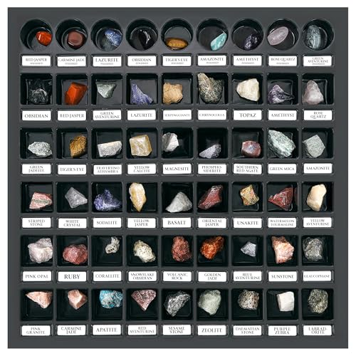 PIBEX Rock Collection Starter Kit, 54 Rocks & Minerals with Name Labels - style: 54PC Starter Edition