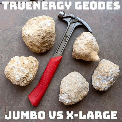 TruEnergy Break Your Own Geodes Kit – 3 to 4 Real Geodes 3.5"–4.5", 90% Hollow Rate, Crack Open & Discover Crystals – STEM Geology Rock Kit, Science Gift for Kids Ages 6+, Party Favors XL - size: X-Large (3.5"-4.5")