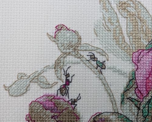 Aine A1009 Peonies. Delight Counted Cross Stitch Kit 7 x 6 in - size: Peonies. Delight