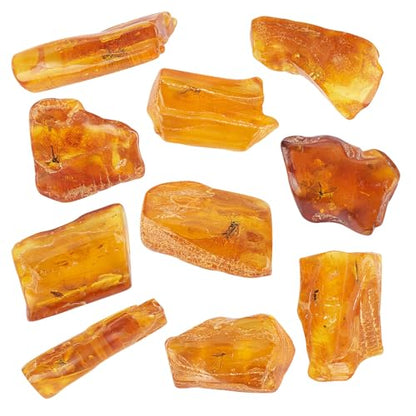 Baltic Amber Natural Fossil Insects,Insects from Millions of Years ago,True Insect Samples-Science Classroom Science Education Animal Specimens (A Amber with Insects Fossils)