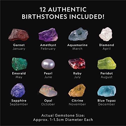 National Geographic Birthstone Dig Kit with 12 Genuine Gemstones for Kids - style: 12 Genuine Birthstones