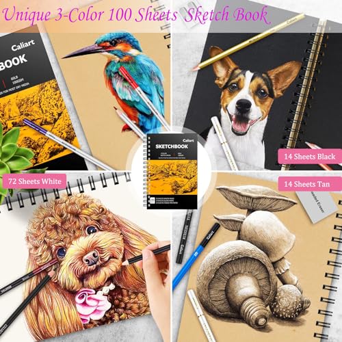 Caliart 176PCS Art Supplies Sketching Kit, 100 Sheets 3-Color Sketch Book - color: Black
