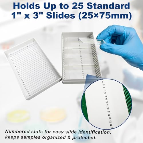 Microscope Slide Box, 25-Place, Foam Liner, Pack of 5 - size: Foam Lining