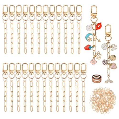 Starry 126Pcs Keychain Making Kit DIY Bag Charm Kit 25 Set Keychain Clips with Extender Chain Bulk 100 Jump Ring for Jewelry Bags Accessories DIY Craft Supplies - style: 25 Set