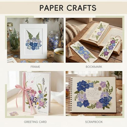 LUXEEASE 140P Hydrangea Dried Pressed Flowers - color: Hydrangea 140p