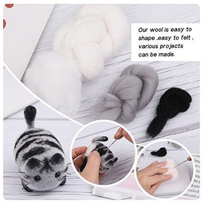 QMNNMA Needle Felting Starter Kit, Maine Coon Needle Felting Set - size: Maine Coon