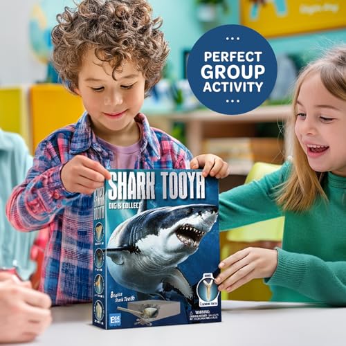 EGGBOX Shark Tooth Dig Kit Excavate 8 Shark Fossils Including Great White, Angel, Bullhead, Longnose, Sand Tiger Shark and so on. Great Science Gift for Marine Biology Enthusiasts of Any Age