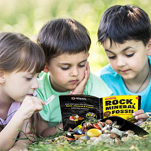 Rocks Minerals Fossils Science Kit-250+ Real Gems, Display Case, Kids Gift - style: 250 Pieces+