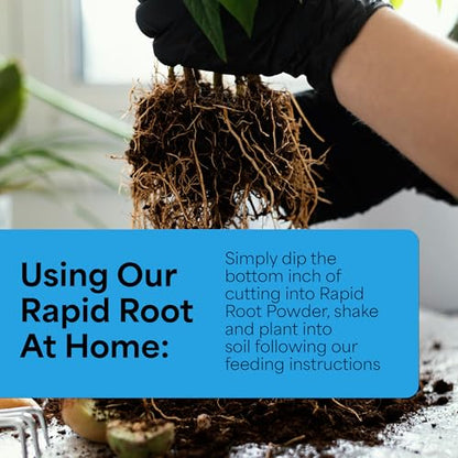 Grow More Rapid Root Powder for Plants (0.3% IBA) - 2oz of Rooting Hormone for Cuttings to Stimulate & Enhance Root Growth - One-Dip Treatment Rooting Powder for Plant Cuttings - Rapid Rooter