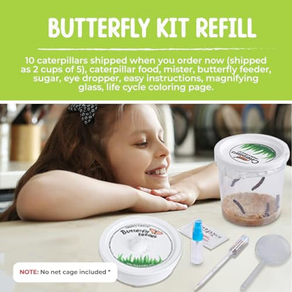 10 Live Caterpillars for Butterfly Kits, Refill with Food, Rearing Supplies - style: 10 Live Caterpillars + Supplies