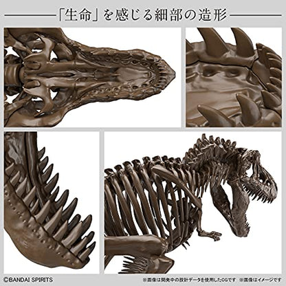 Bandai Hobby - Imaginary Skeleton - 1/32 Imaginary Skeleton Tyrannosaurus, Small