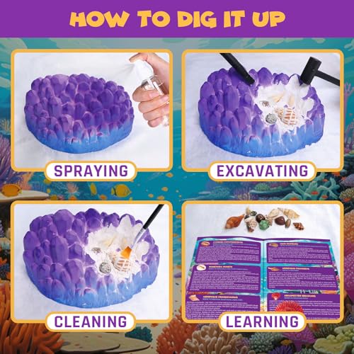 PIBEX Ocean Fossil Dig Kit, 20+ Real Shells & Seasnails, Sea Creature Toy - size: Ocean World (20+ Fossils)