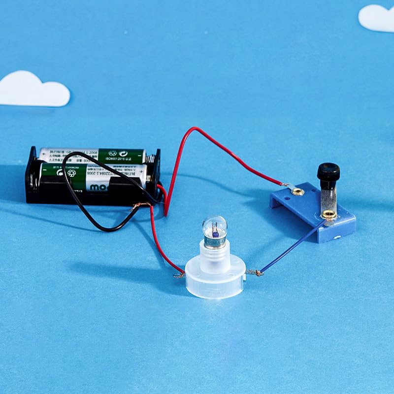 Small Bulb Lights Up Experiment Kit, Electrical Circuit Experiment Kit, Basic Physic Science Playset Educational Kit DIY Physics Experiment Model Kit