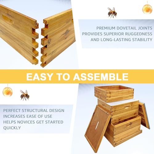 Beehive Boxes 3 Layer Langstroth Bee Hive Kit