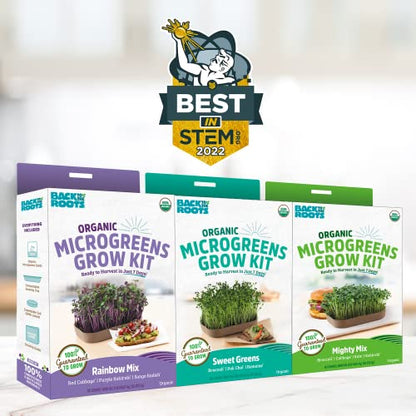 Back to the Roots DIY Microgreen Grow Kit, 6-Grow Variety Pack - color: Microgreen 6ct