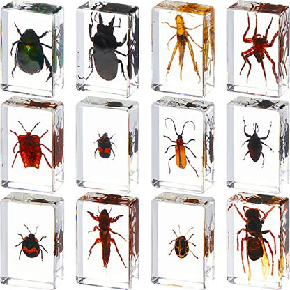 12 Pcs Insect Specimens for Kids Bug Collection Kit, Insect - style: Insect