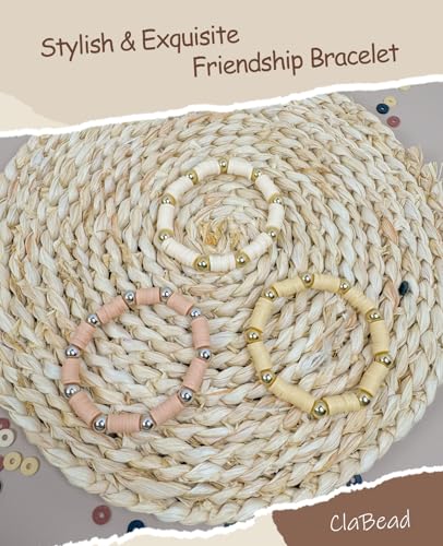 ClaBead Bracelet Making Kit 3200Pcs, Clay Beads Bracelet Kit with Gold Beads and Sliver Beads (Earth Tone) - color: Earth Tone