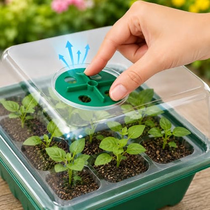 5 Pack Seed Starter Trays with Humidity Dome and Base, 12 Cell Seedling Germination Kit, Adjustable Vent Plant Growing Trays for Indoor Greenhouse, Garden and Hydroponic Seed Starting