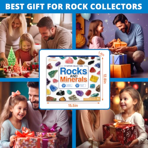 PIBEX Rock Collection Starter Kit, 54 Rocks & Minerals with Name Labels - style: 54PC Starter Edition