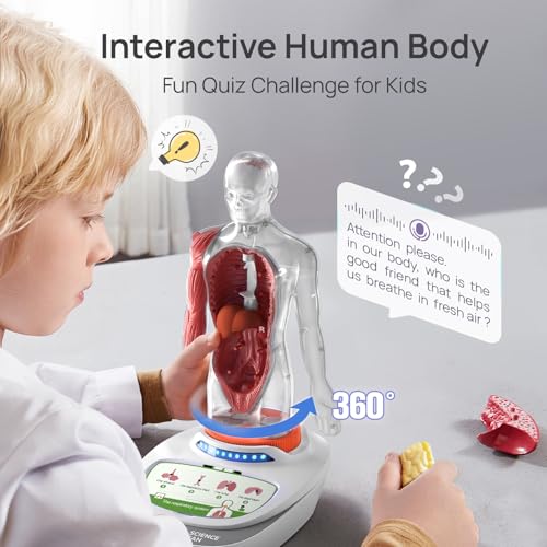 Science Can Human Body Model for Kids, Interactive Anatomy Learning Toys